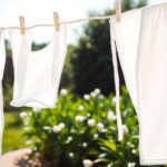 cpsfa | Cum să îngrijeşti hainele din bumbac pentru o durabilitate sporită